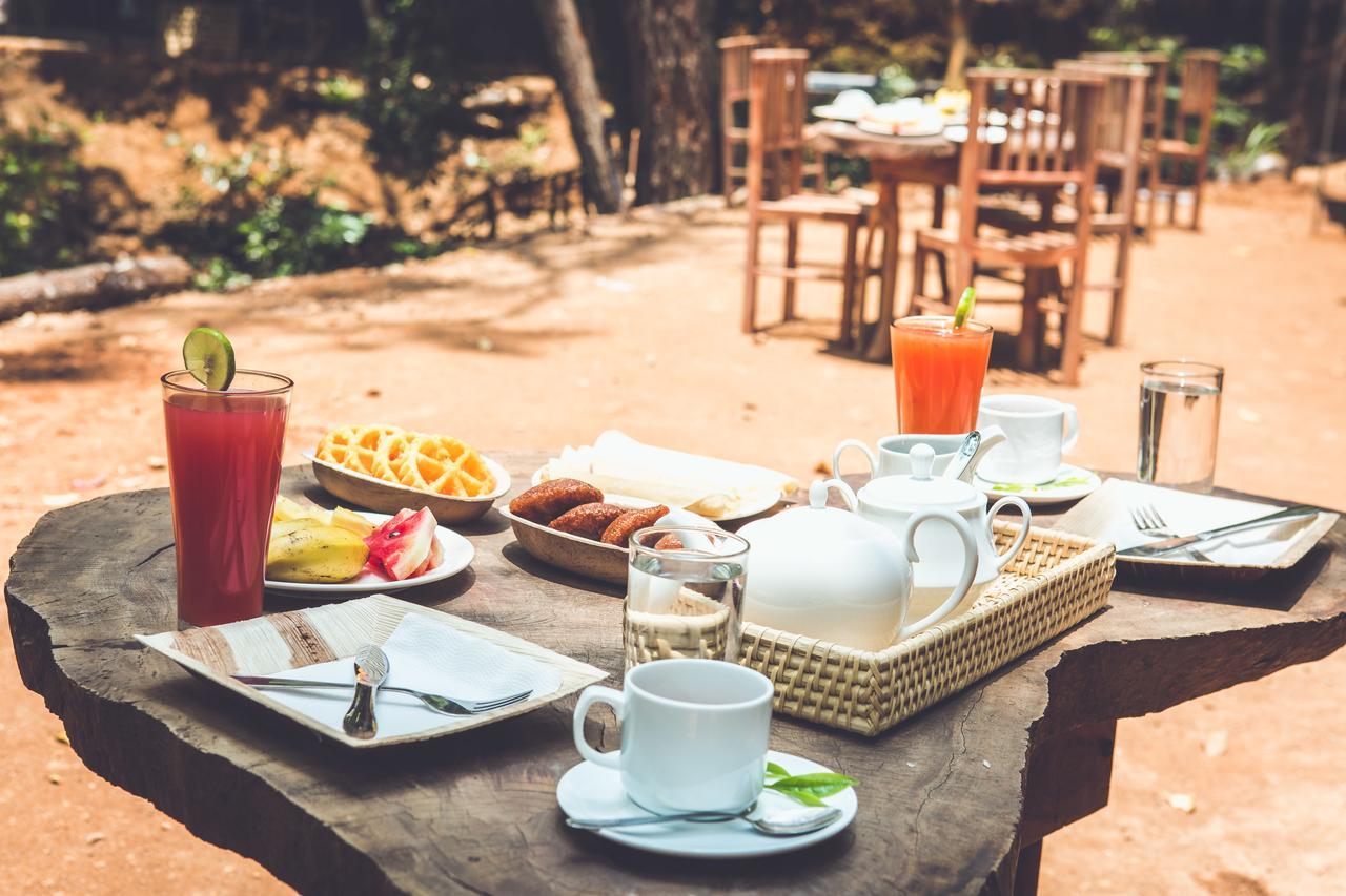 Готель Ella Glamping Екстер'єр фото