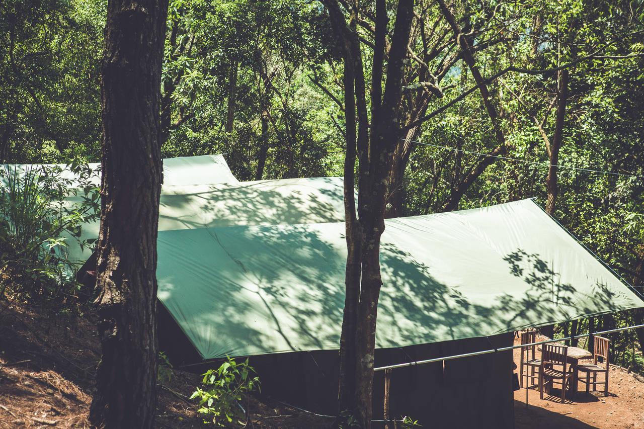 Готель Ella Glamping Екстер'єр фото