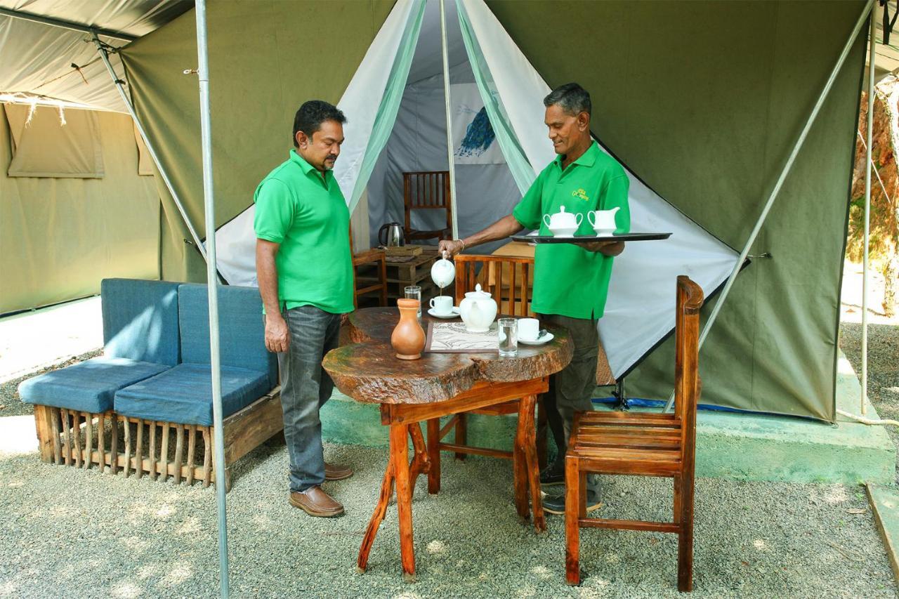 Готель Ella Glamping Екстер'єр фото